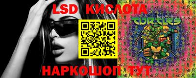 прущие крисы Донской