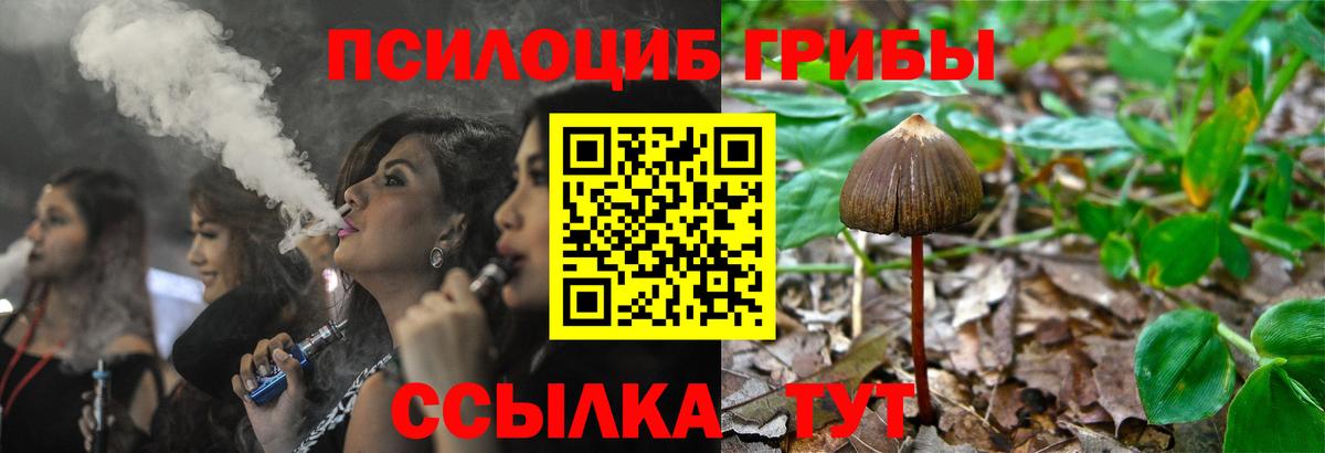 Псилоцибиновые грибы ЛСД  Вход с VPN  Галлюциногенные грибы Psilocybine cubensis  Заинск 